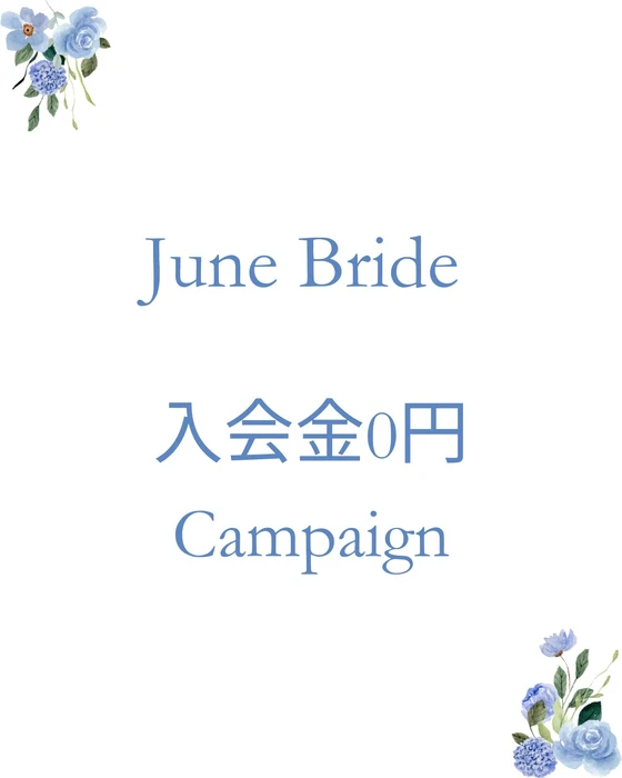 画像246